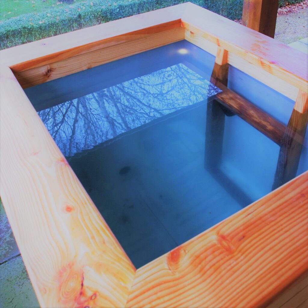 Cold Water Therapy Plunge Pool